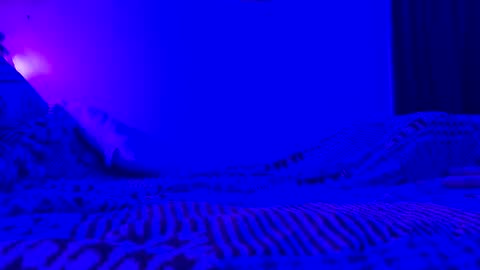 wowsers7 online show from 7, 11, 2025