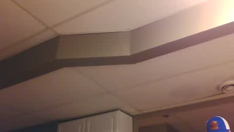 BONER DONOR online show from 7, 1, 2025