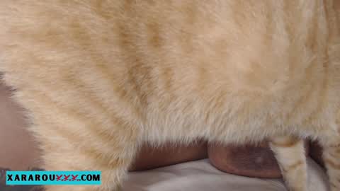 Snapshot of xararouxxx chatting on 13, 1, 2025 S A R A 100K followers online show from 13, 1, 2025