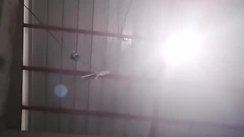 Snapshot of xasianbrowncockx chatting on 24, 2, 2026 Bella Amor online show from 24, 2, 2026