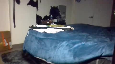 Toke online show from 9, 12, 2024