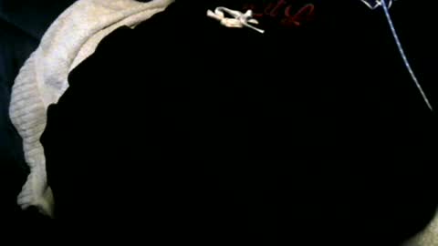 Toke online show from 12, 12, 2024