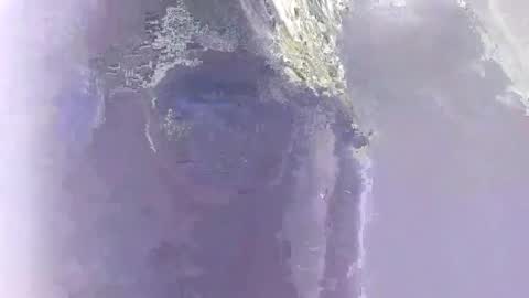 Genesis online show from 4, 12, 2025