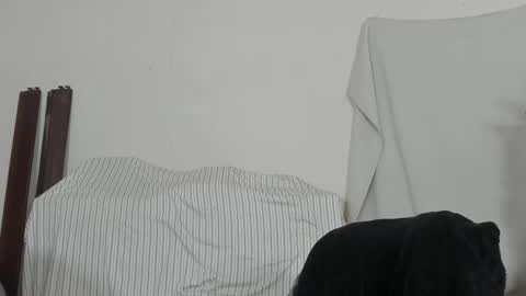 Snapshot of xmetalstudx chatting on 9, 2, 2026 MetalstudMaster online show from 9, 2, 2026