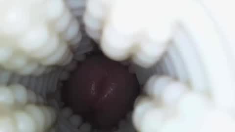 Snapshot of xoxowtf chatting on 9, 1, 2026 xoxowtf online show from 9, 1, 2026