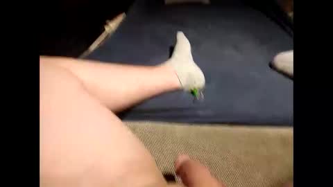 Antonio del Pa ero online show from 19, 3, 2026