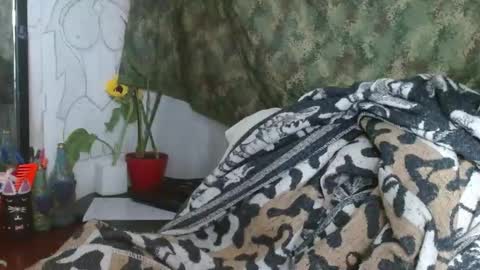   LILI  online show from 4, 1, 2025