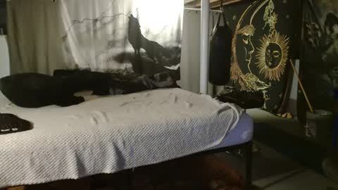 Snapshot of xxxjrstrokesxxx chatting on 20, 9, 2025 xxxjrstrokesxxx online show from 20, 9, 2025