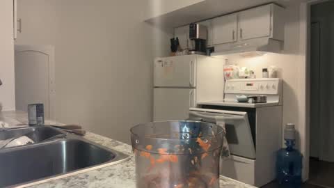 Xylea Luv online show from 22, 2, 2025