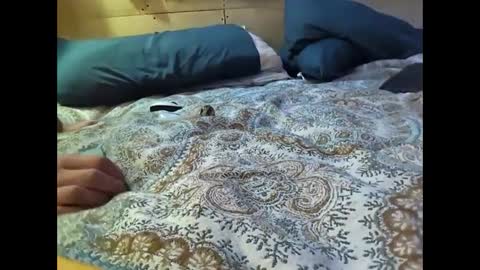 Snapshot of xzbib chatting on 10, 3, 2025 Xzbib online show from 10, 3, 2025