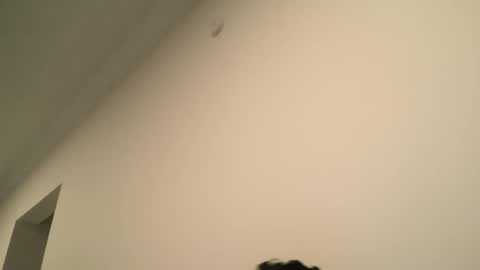 Dick  Ass online show from 15, 2, 2025