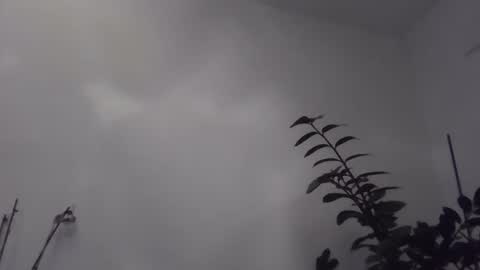 Snapshot of yakijoe chatting on 6, 11, 2025 yakijoe online show from 6, 11, 2025