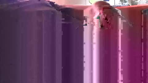 Snapshot of yangolox3 chatting on 4, 10, 2025 yangolox3 online show from 4, 10, 2025