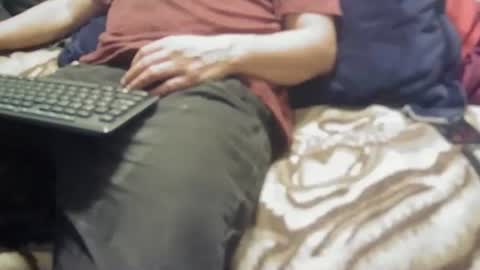 yangolox3 online show from 4, 2, 2026