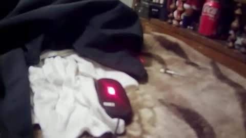 yangolox3 online show from 2, 3, 2026