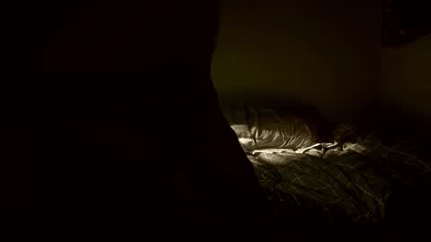 yaradeeyarama online show from 8, 2, 2026