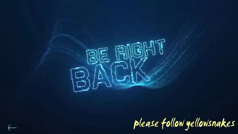 .     y e l l o w s n a k e s       . online show from 10, 10, 2025