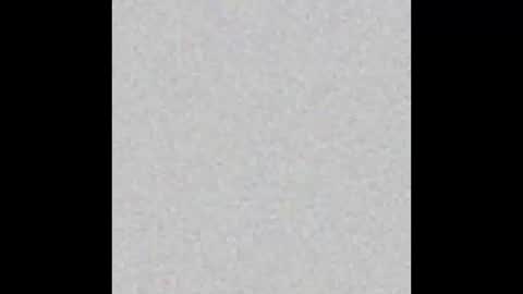 .     y e l l o w s n a k e s       . online show from 23, 10, 2025