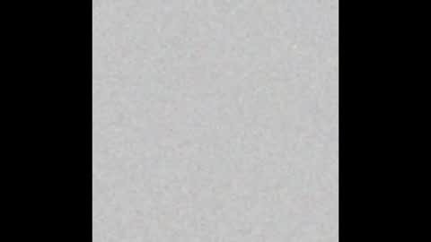 .     y e l l o w s n a k e s       . online show from 4, 11, 2025