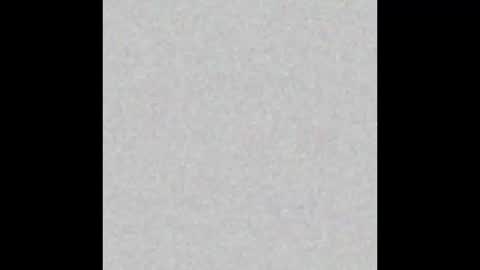 .     y e l l o w s n a k e s       . online show from 21, 11, 2025