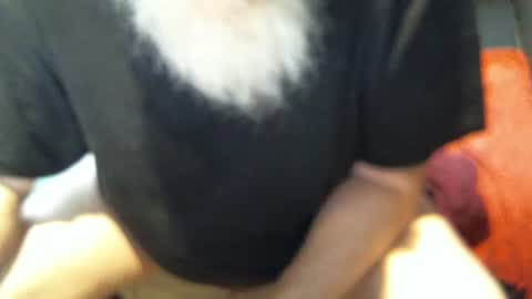 .     y e l l o w s n a k e s       . online show from 5, 12, 2025