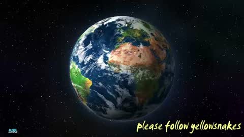 .     y e l l o w s n a k e s       . online show from 22, 12, 2025