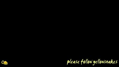 .     y e l l o w s n a k e s       . online show from 7, 1, 2026