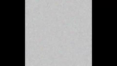 .     y e l l o w s n a k e s       . online show from 17, 1, 2026