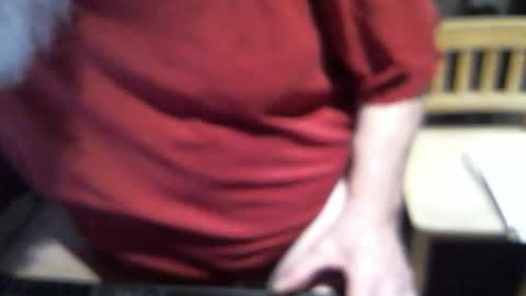 .     y e l l o w s n a k e s       . online show from 17, 2, 2026