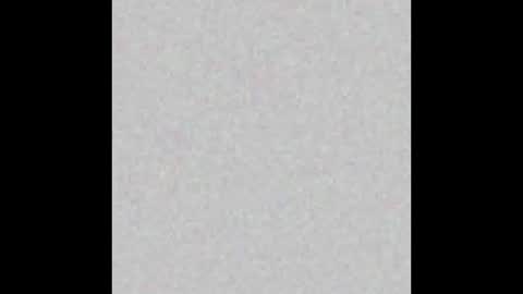 .     y e l l o w s n a k e s       . online show from 6, 3, 2026