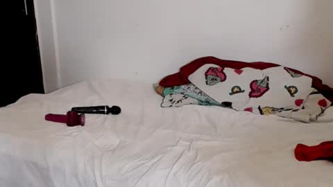 tulipan online show from 2, 2, 2025