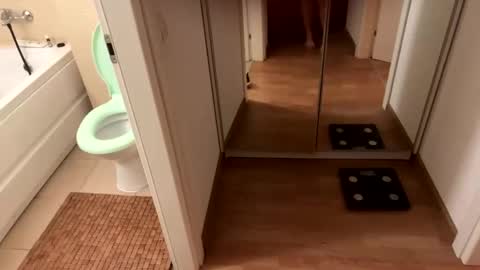 yonise909383 online show from 3, 2, 2025