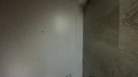 Snapshot of youallreadyknowwhoitis chatting on 23, 11, 2025 youallreadyknowwhoitis online show from 23, 11, 2025