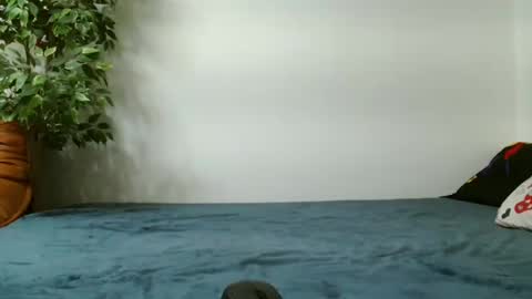 Eva and Jhony online show from 28, 2, 2025