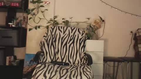 Viky online show from 17, 12, 2025