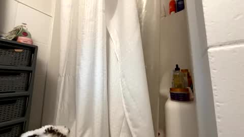 Eastcoast mermaid online show from 21, 11, 2025