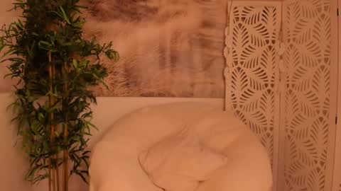 Snapshot of yourmidnightcoffee chatting on 28, 1, 2025 Sarah online show from 28, 1, 2025