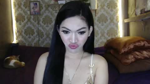 tin online show from 4, 2, 2025