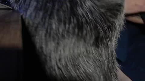 YumGuy69 online show from 17, 9, 2025