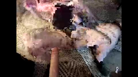 yummythick5150 online show from 19, 11, 2025