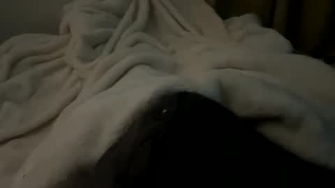 Snapshot of yunghunghornymale chatting on 29, 11, 2025 yunghunghornymale online show from 29, 11, 2025