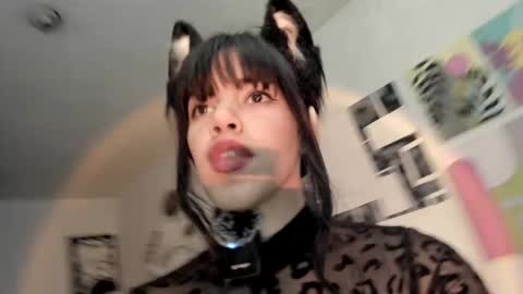 paola online show from 26, 11, 2025