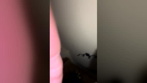 zachmurphbigboy online show from 1, 3, 2026