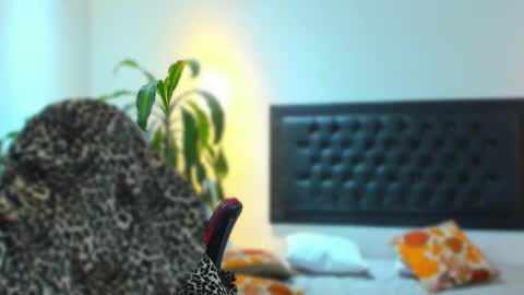 zachpri20 online show from 24, 9, 2025