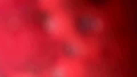 Snapshot of zachslime472 chatting on 13, 3, 2026 zachslime472 online show from 13, 3, 2026