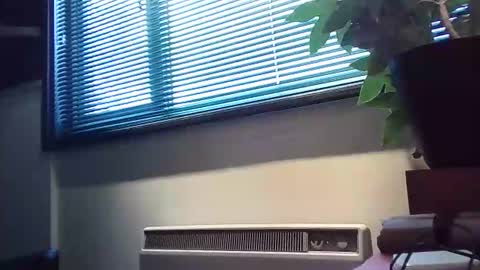 zalina2 online show from 13, 2, 2026