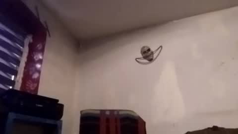 Slash online show from 16, 2, 2026