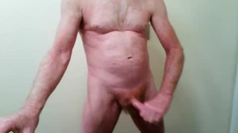 zeplin12 online show from 11, 11, 2025