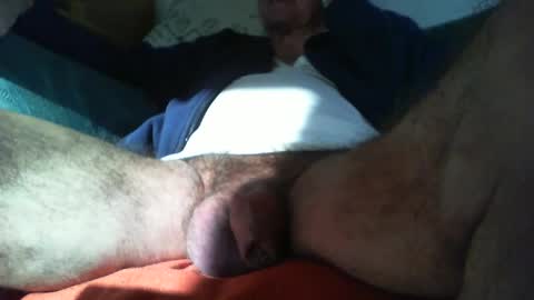 zevioo77 online show from 16, 2, 2025