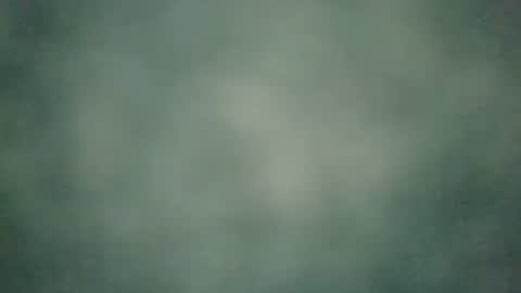 zobilov online show from 20, 12, 2024